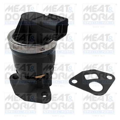 EGR Valve